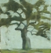 Apple tree (SOLD)